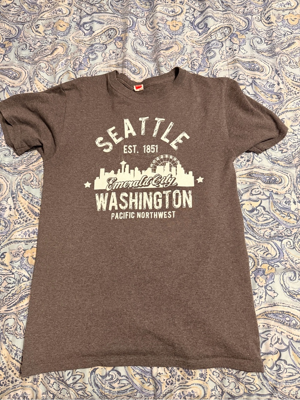 Hanes Gray Crewneck Tee with Red Logo Tag